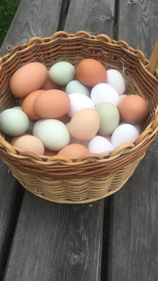 Ferienhof Weber Nieratz Wangen im Allgäu Εξωτερικό φωτογραφία