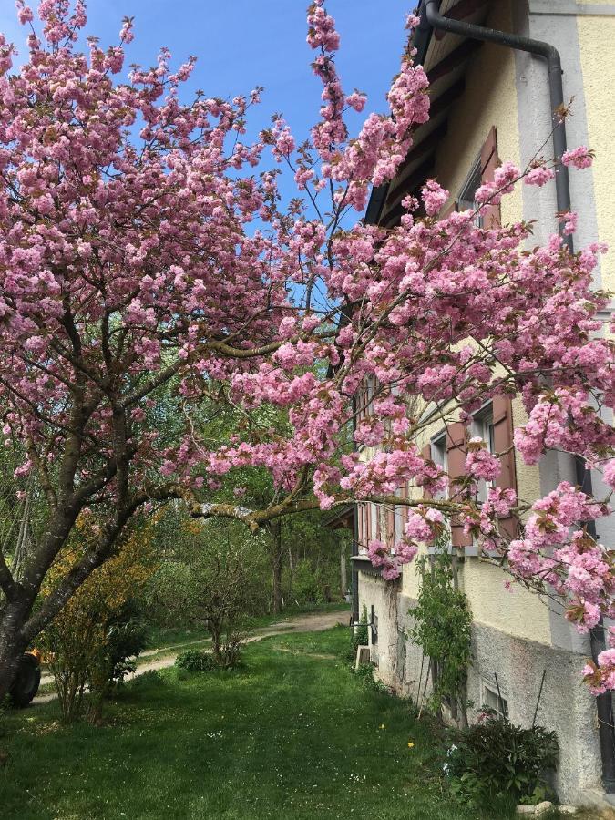 Ferienhof Weber Nieratz Wangen im Allgäu Εξωτερικό φωτογραφία