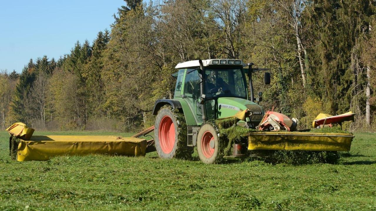 Ferienhof Weber Nieratz Wangen im Allgäu Εξωτερικό φωτογραφία
