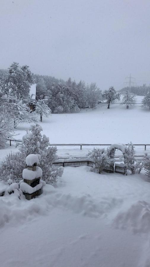 Ferienhof Weber Nieratz Wangen im Allgäu Εξωτερικό φωτογραφία
